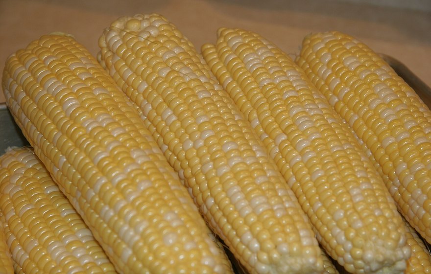 Pre-Mix Animal Feed Varieties